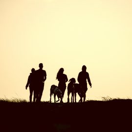 Barns röster visar vägen till starkare tillhörighet i familjehem skugga av familj med hundar