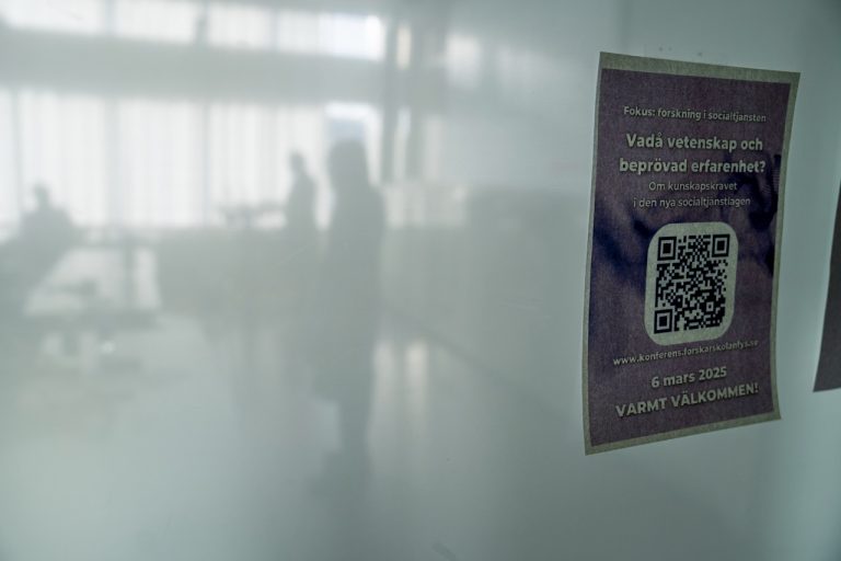 FYS, Forskarskolan för yrkesverksamma i socialtjänsten, konferens på Niagara den 06:e mars 2025. 
(Information kring fotografering har getts på skriftiligt på lappar och muntligt)