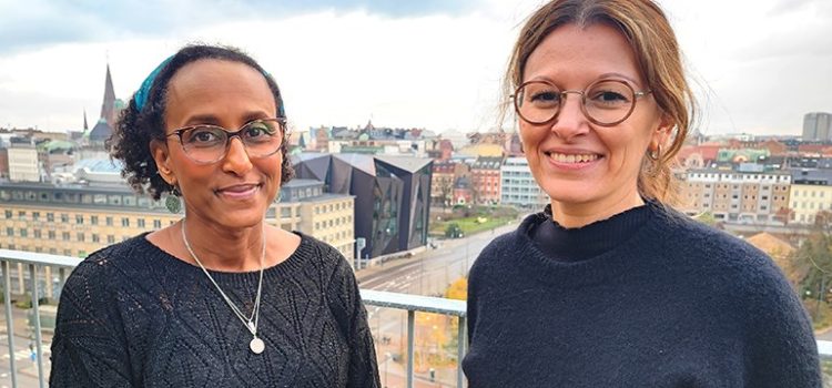 Brobyggarna: Så förändrar samverkansambassadörer relationen mellan forskning och socialtjänst